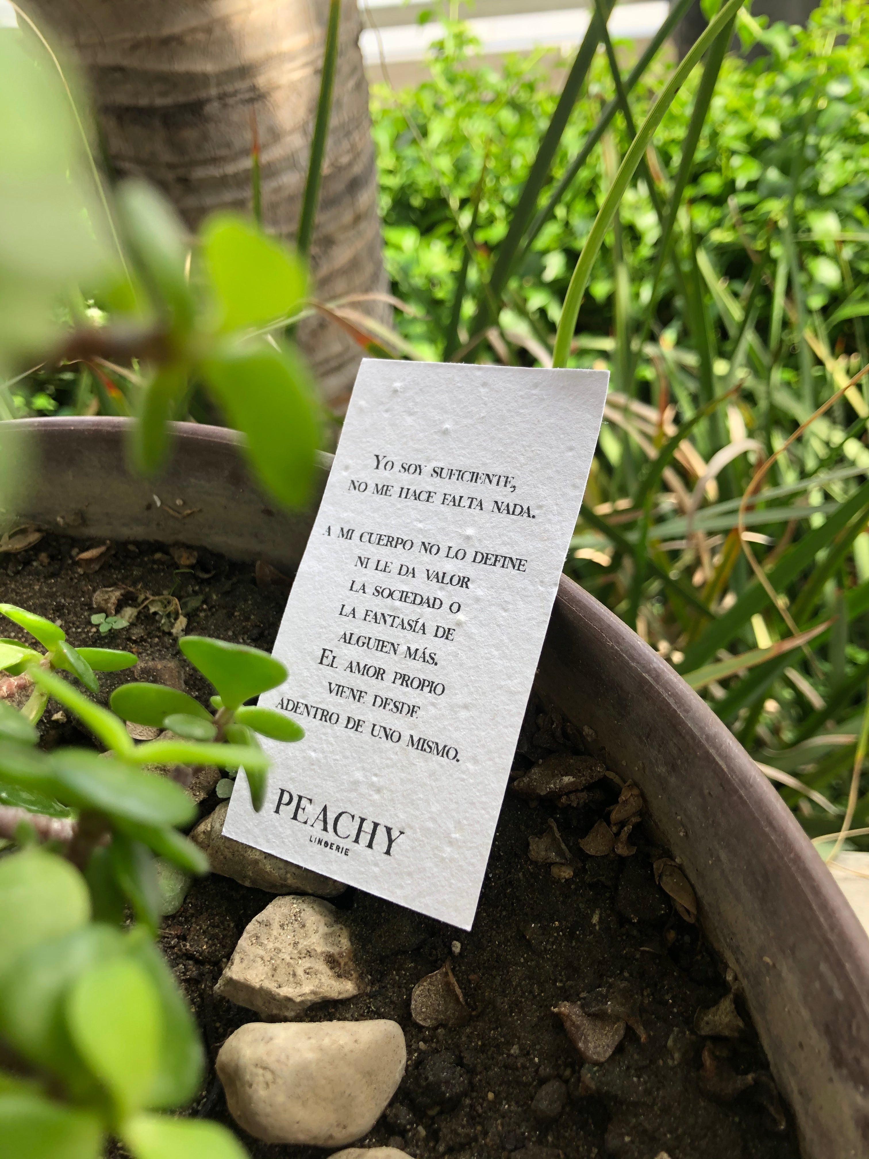 etiqueta papel semilla